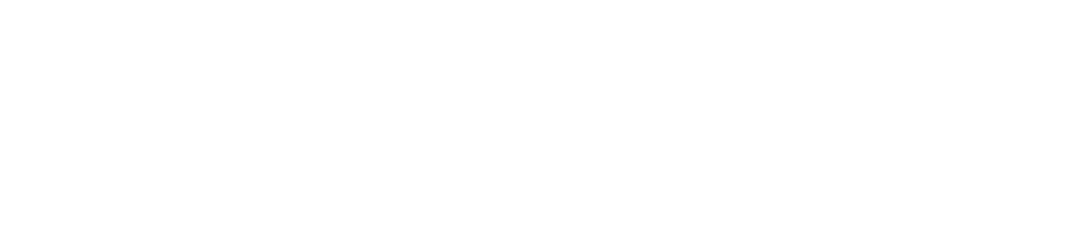 Setenet Telecom